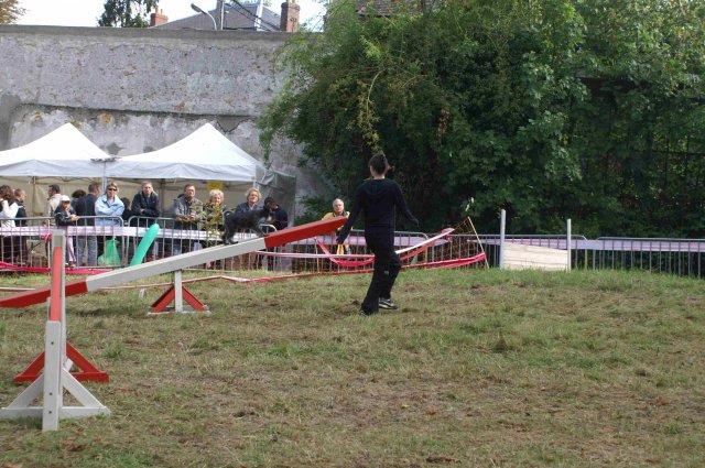 foire-haricots 2011-09-17et18